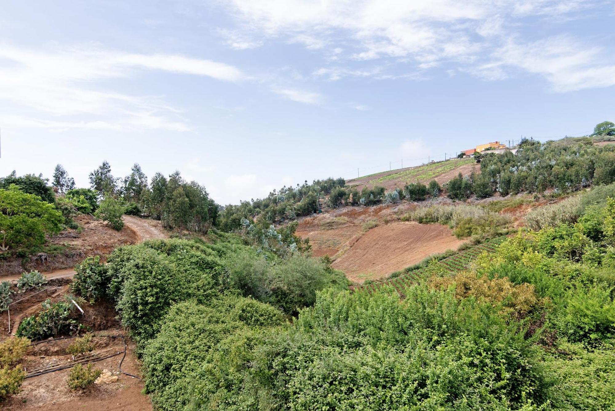 Vv El Alpendre Villa Moya  Dış mekan fotoğraf